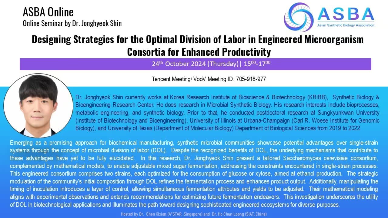 designing strategies for the optimal division of labor in engineered microorganism consortia for enhanced productivity